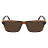Converse Brown Acetate Sunglasses