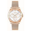 Hugo Boss Gold Stainless Steel Watch