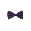 Dolce & Gabbana Purple Silk Ties & Bowty
