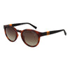 Timberland Brown Plastic Sunglasses