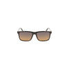 Calvin Klein Black Plastic Men Sunglass