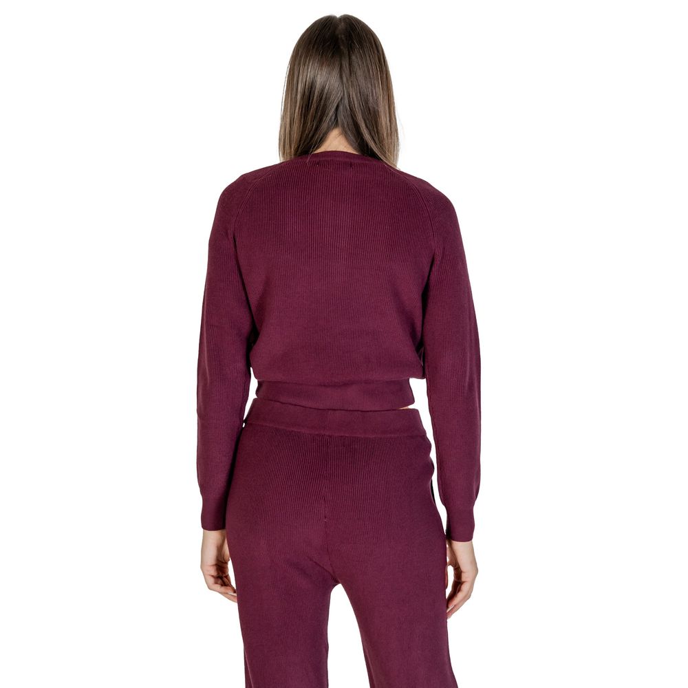 Cleré Purple Viscose Sweater