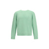 Sunflower Green Alpaca Vicugna Pacos Sweatshirt