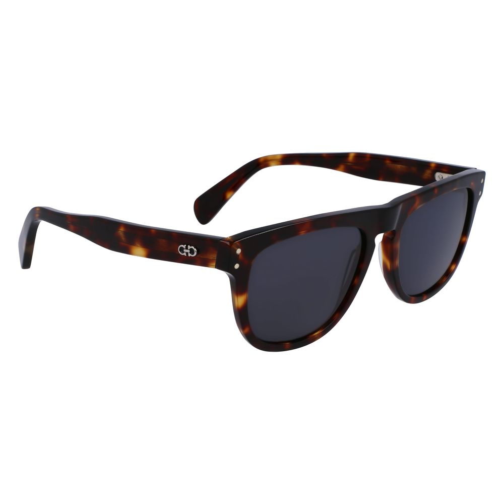 Ferragamo Brown Acetate Sunglasses