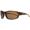 Timberland Blue Resin Sunglasses