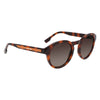 Lacoste Brown Injected Sunglasses