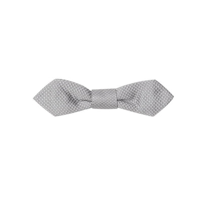 Dolce & Gabbana Gray Silk Ties & Bowty