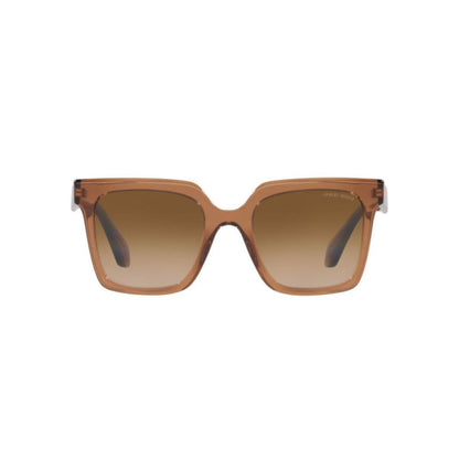 Giorgio Armani Brown Acetate Sunglasses