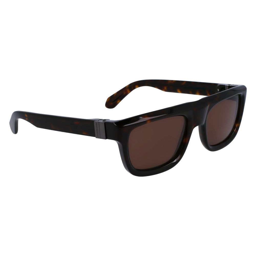 Ferragamo Brown Acetate Sunglasses